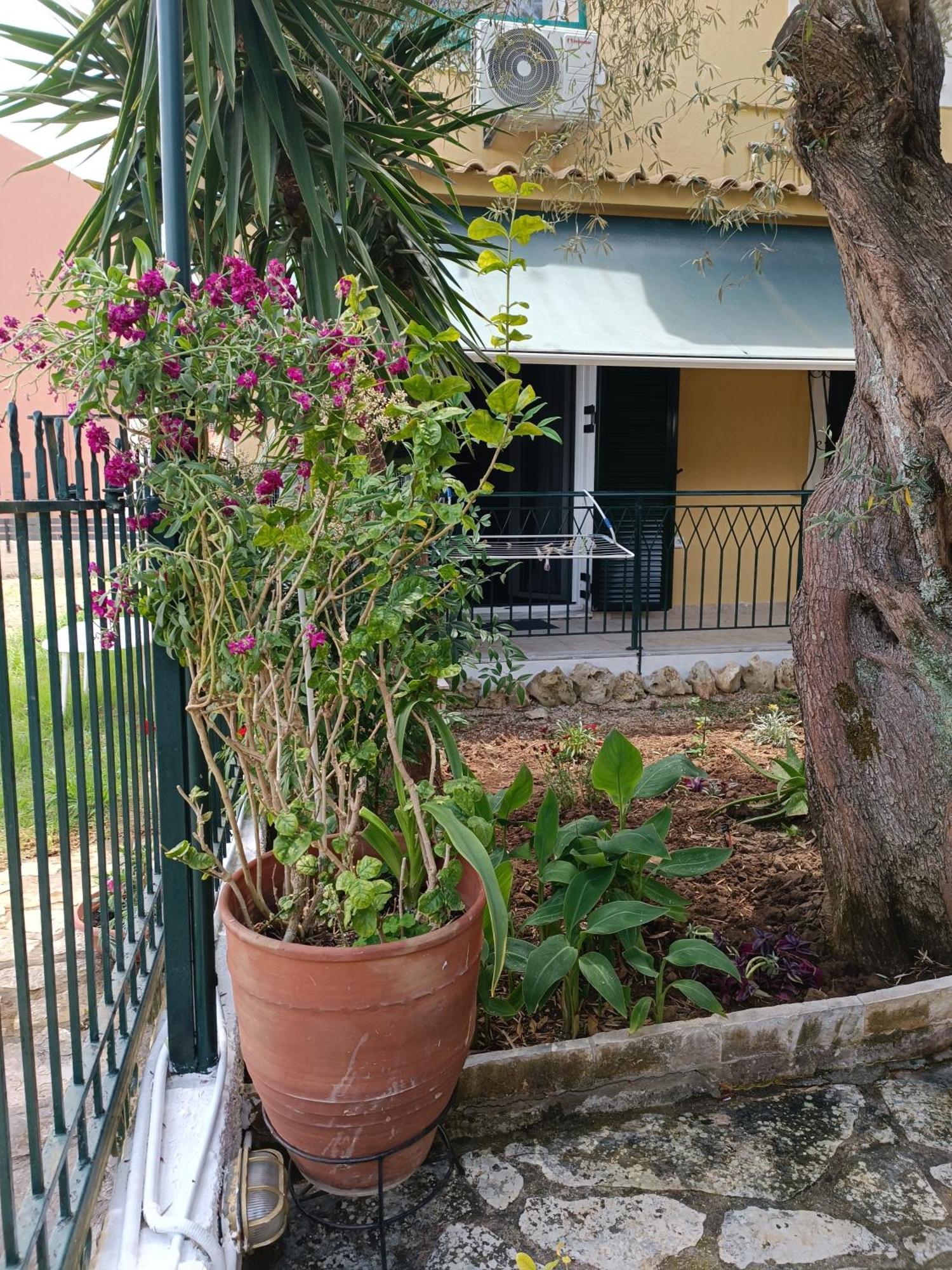 Casa Trizoni Nikiana Apartment Luaran gambar